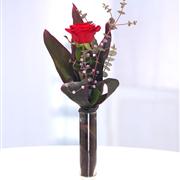 Combo Eternal Vase