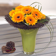 Gorgeous Gerbera&#39;s