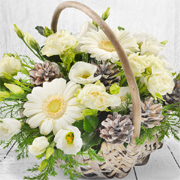 Sparkling Basket