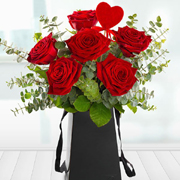 Your Secret Admirer