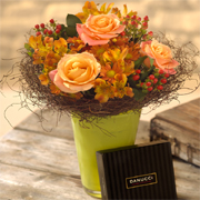 Golden Glow Dark Chocolate Gift Set
