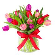 Spring Kisses