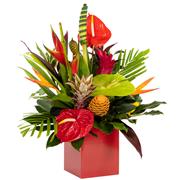 Hot Tropics