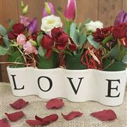 Garden of Love