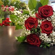 6 Red Roses and Gypsophila 