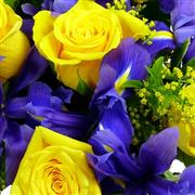 Blue and Yellow