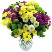 Chrysanthemums