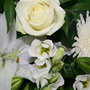 Pure White