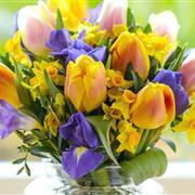 Spring