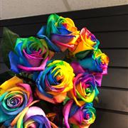 Rainbow Roses